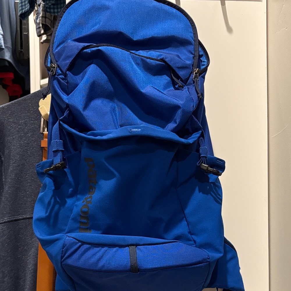 Patagonia Men's Backpack in Vibrant Blue